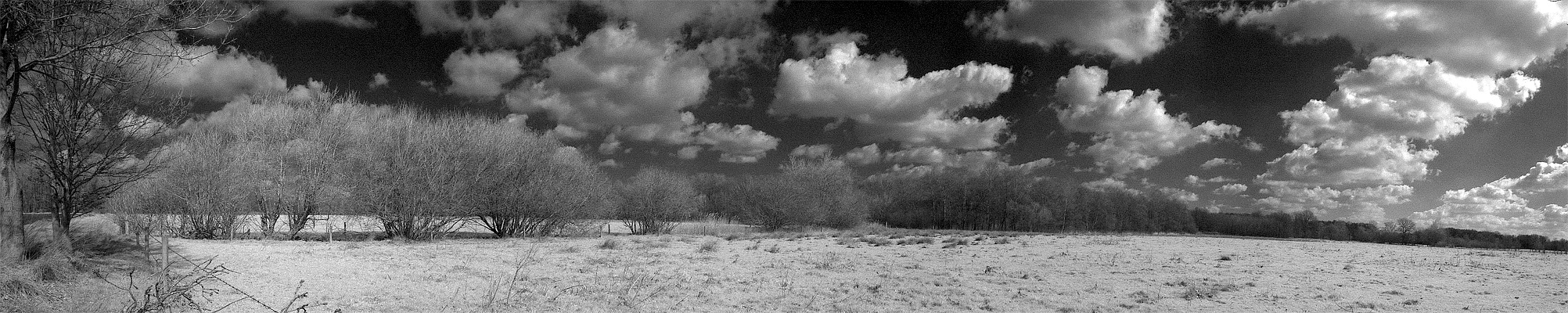 9 april 2005 1 bw copy