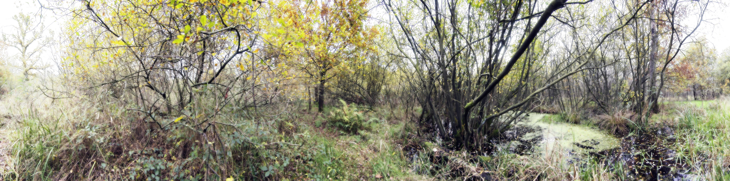 Panorama strijperheg eatherized